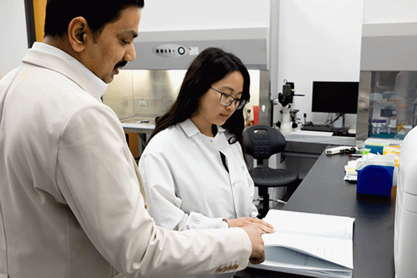 ISO 10993-1:2025 Revision Highlights Part 1: Reasonably Foreseeable Misuse