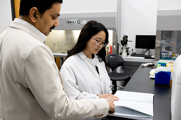 Strategizing Biocompatibility Evaluation in Changing Manufacturing Environments: When do you Approach Subject Matter Experts?